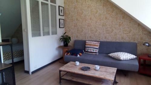 Apartamento Grand Studio 35 M2 1 Chambre Centre Ville