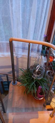 Apartamento Calme En Ville