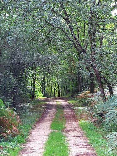 Hostal Chambres Zen - Nature Et Spiritualit�