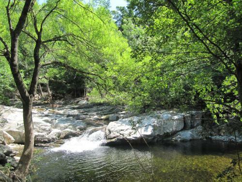 Villa With Natural River Pool, 15 Mins From Beach