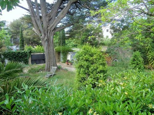Villa Maison Jusqu A 10 Couchages Quartier Des Plages