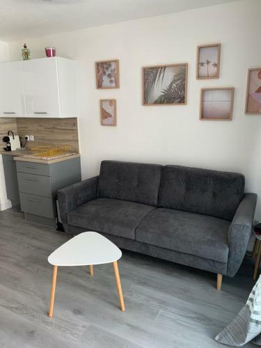 Apartamento Charmant F1 Centre Mandelieu Avec Piscine