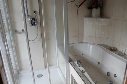 Hotel Steinerne Renne
