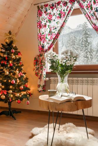 Apartamenty Villa Ski-b�wki