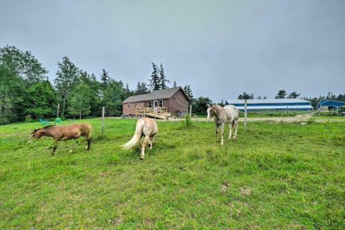 Historic Cottage On Horse Farm Firepit And Bbq