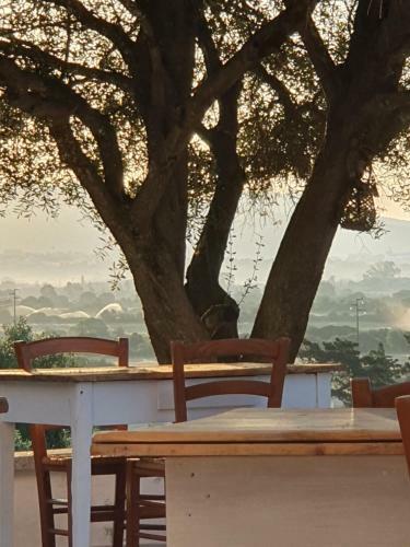 Bed & Breakfast Nacchinono