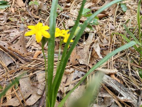 Tentrr - Spring Hill On Cape Cod