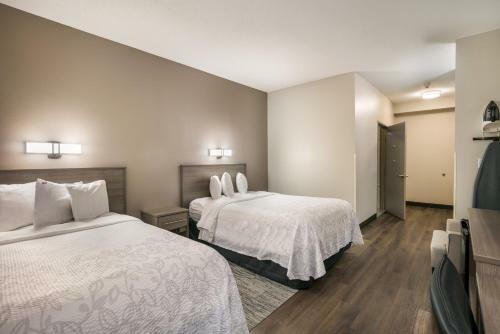 Hotel Red Roof Inn Plus+ Boston - Logan