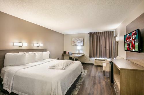 Hotel Red Roof Inn Plus+ Boston - Logan