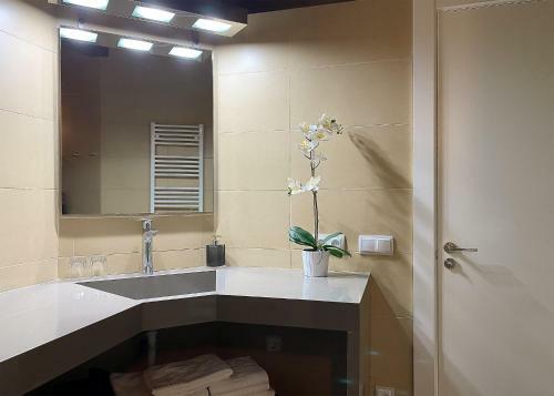 Apartaments Y Habitacions Entre Volcans