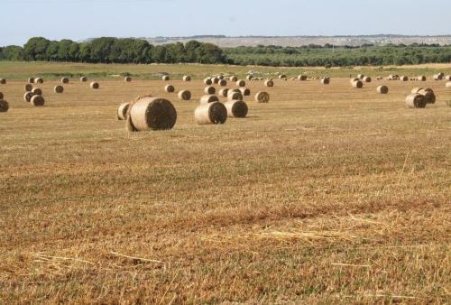 Agroturismo Masseria Autigne