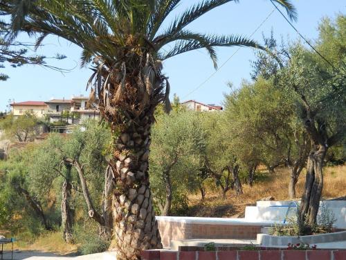 Apartamentos Vento Del Mare