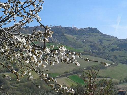 Bed & Breakfast Il Podere Del Nonno