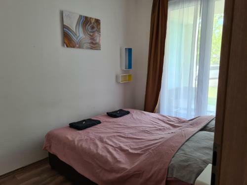 Apartamento Lelle Riviera