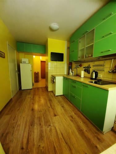 Apartamento Gintaro ?lankos Gatv?