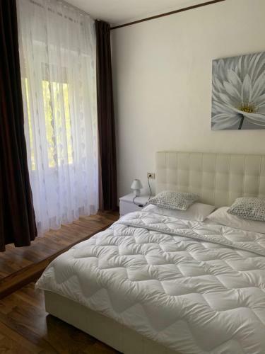 Hotel Albergo Al Lago