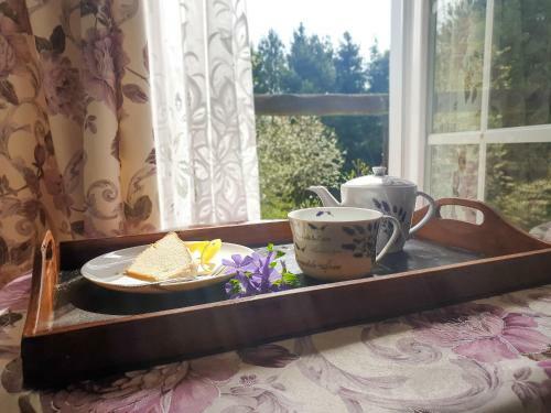 Agroturismo Le?ny Dworek