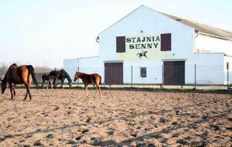 Noclegi Przy Stajni Senny