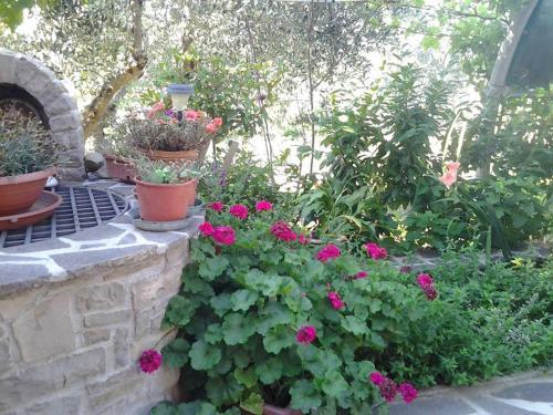 Bed & Breakfast Poggio La Grognola