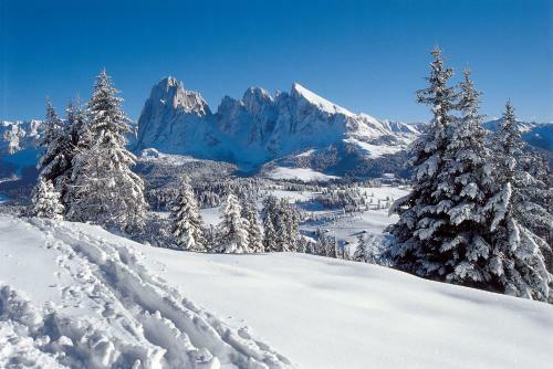Apartamento Alpin Sport