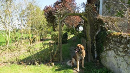 Bed & Breakfast La Fosse S�che