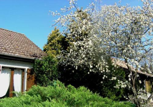 Hostal M�lodie Lumineuse Et Spacieuse � 6km Du Pal