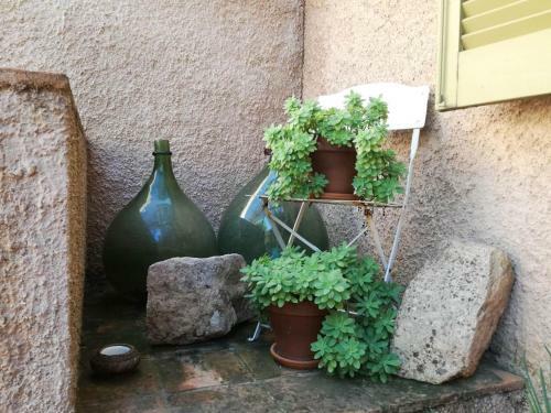Lananai, Eco-ospitalit�