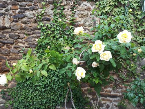 Bed & Breakfast La Maison D`h�tes De Constance