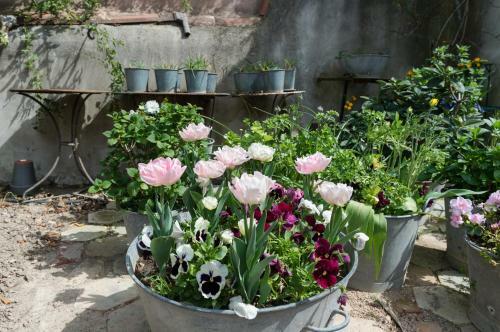 Bed & Breakfast Villa De Lorgues