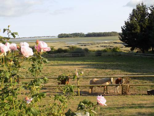 Domaine De Troliguer