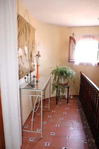 Casa Meua Rapita