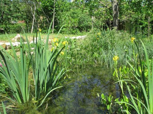 Apartamento Eco-logis Du Vignoble