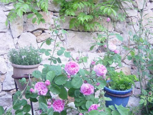 Apartamento Eco-logis Du Vignoble