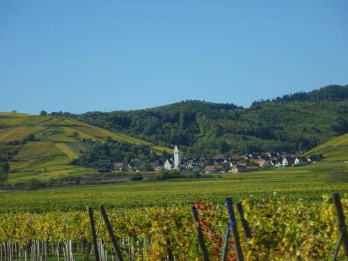 Apartamento Eco-logis Du Vignoble