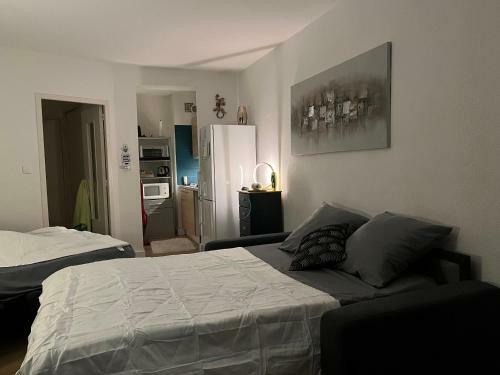 Apartamento Studio Meubl� Cap D?agde Avec Piscine