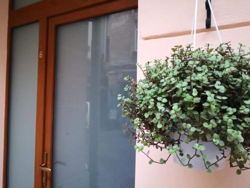 Apartamento ?????? ??????????? ?????????????, 13