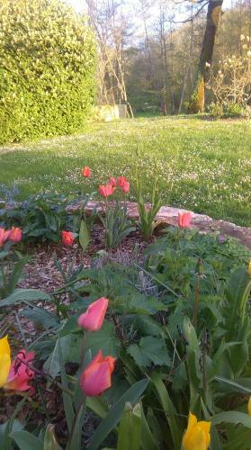 Bed & Breakfast Manoir La Barriere - Lot