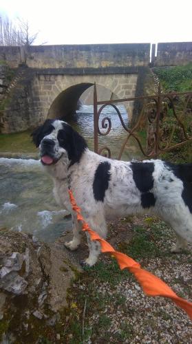 Bed & Breakfast Manoir La Barriere - Lot