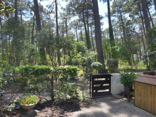 Holiday Home Arrigade Seignosse Le Penon