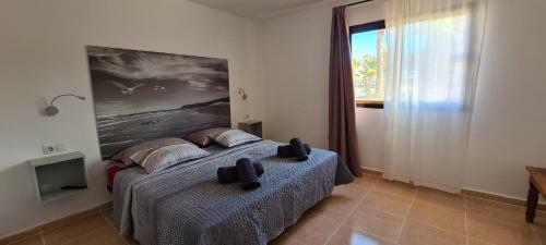 Fuerteventura Apartments Tamarindo II