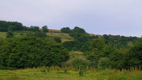 Bed & Breakfast Luxury Log Cabin With Views Of The Devon Countryside