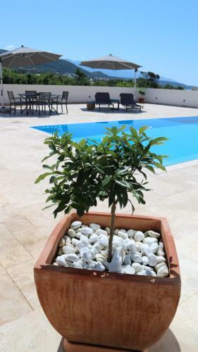 Apartamento Haus Helga