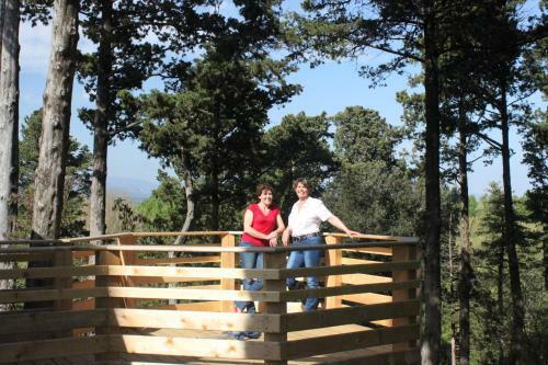 Hotel Les Cabanes Dans Les Bois