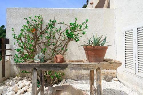 Villa On The Rocks