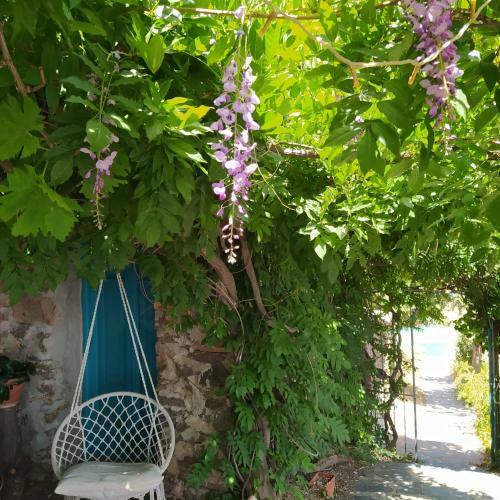 Bed & Breakfast Cortijo La Chaparra