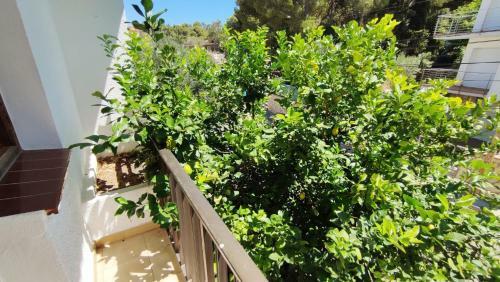 7209 Casa En Llan��