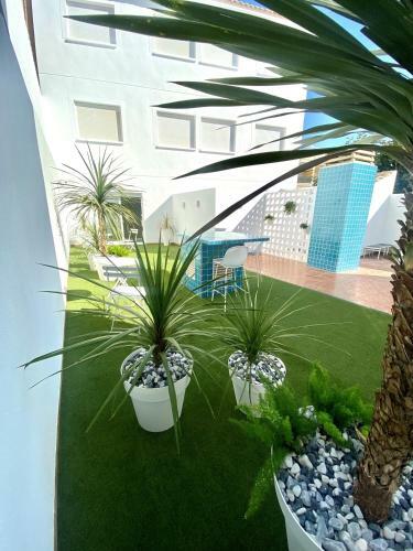 Apartamentos 525 Los Narejos