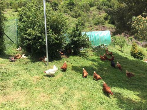 Can Mercader Ii, Casa Rural Exclusiva Con Encanto