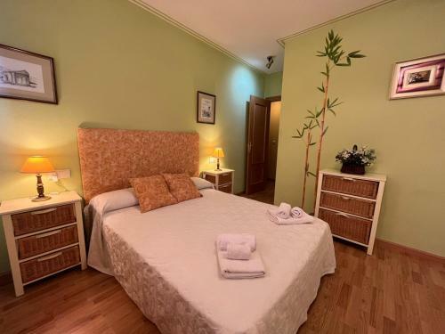 Apartamento �tico Pirineo Aragon�s