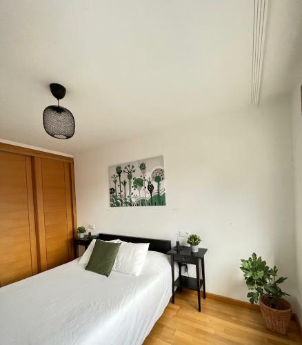 Verde, Amplio Apartamento Con Terraza Y Piscina.